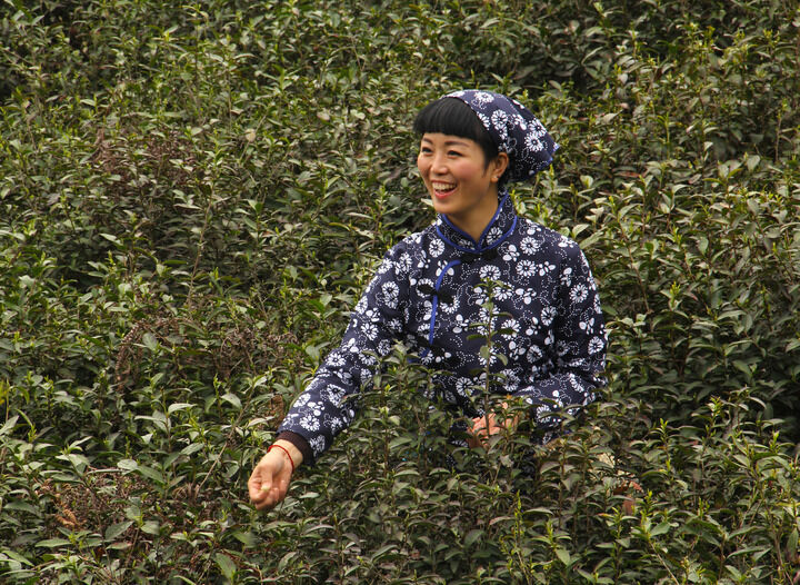 最新5